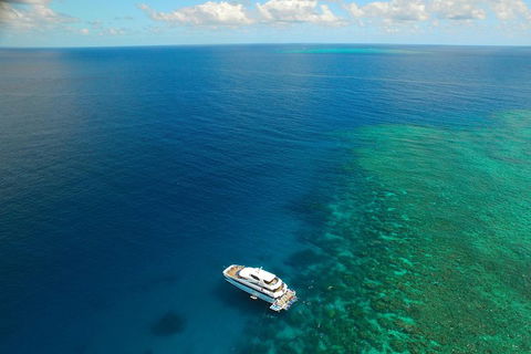 Great Barrier Reef Snorkeling And Diving Cruise From Cairns - Pubs Melbourne 4