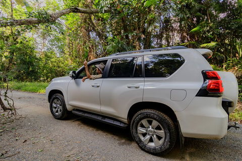 Full Day Cooktown Private Tour - Pubs Melbourne 3