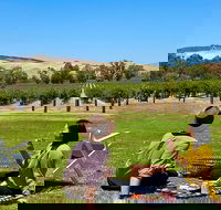 Private Picnic and Wine Tasting Experience in Barossa Valley - Pubs Melbourne