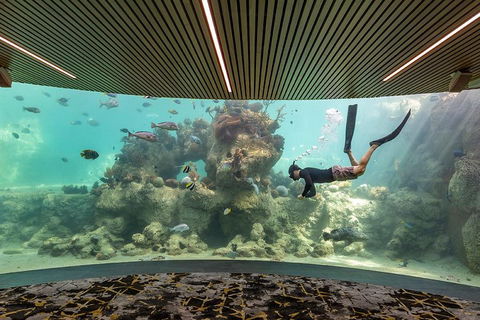 Whitehaven Beach And Daydream Island Cruise - Pubs Melbourne 4