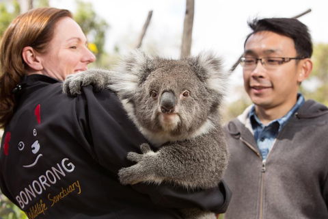 Bonorong Wildlife Park And Richmond Afternoon Tour From Hobart - Pubs Melbourne 0