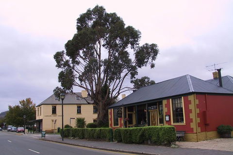 Bonorong Wildlife Park And Richmond Afternoon Tour From Hobart - Pubs Melbourne 3