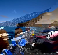 Seal Island Boat Tour from Victor Harbor - Pubs Melbourne