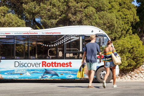 Discover Rottnest With Ferry & Bus Tour From Perth Or Fremantle - Pubs Melbourne 1
