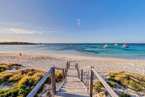 Discover Rottnest With Ferry & Bus Tour From Perth Or Fremantle - Pubs Melbourne 4
