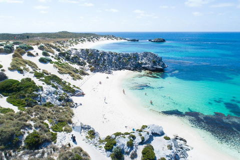 Discover Rottnest With Ferry & Bus Tour From Perth Or Fremantle - Pubs Melbourne 5