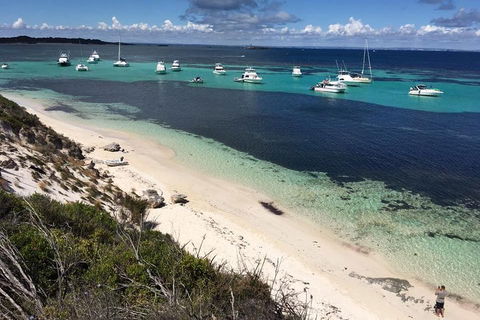 Experience Rottnest With Ferry & Bike Hire From Perth Or Fremantle - Pubs Melbourne 0