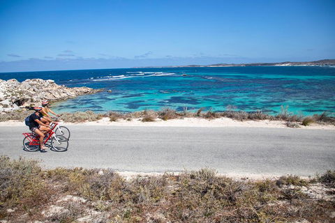 Experience Rottnest With Ferry & Bike Hire From Perth Or Fremantle - Pubs Melbourne 2