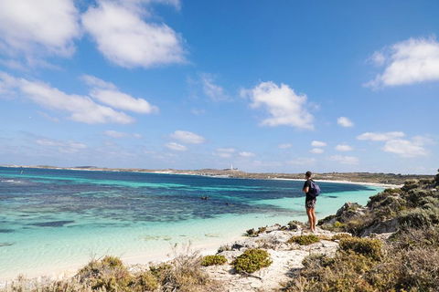 Experience Rottnest With Ferry & Bike Hire From Perth Or Fremantle - Pubs Melbourne 3