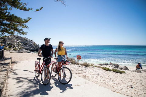 Experience Rottnest With Ferry & Bike Hire From Perth Or Fremantle - Pubs Melbourne 4