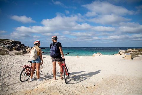 Experience Rottnest With Ferry & Bike Hire From Perth Or Fremantle - Pubs Melbourne 5
