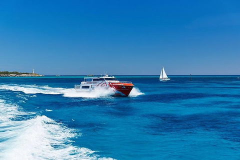 Rottnest Island Round-Trip Ferry From Perth Or Fremantle - Pubs Melbourne 4