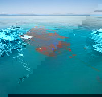 Ocean Freedom Great Barrier Reef Personal Luxury Snorkel  Dive Cruise Cairns - Pubs Melbourne