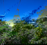 Classic Kuranda by Skyrail and Scenic Railway Including Rainforestation Koala and Wildlife Park and Pamagirri Aboriginal Experi - Pubs Melbourne