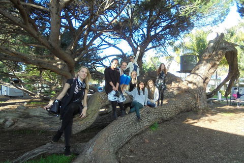 1/2 Day Swan Valley Wine Cheese & Chocolate Tour Inc Afternoon Cruise To Perth - Pubs Melbourne 0