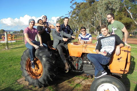 1/2 Day Swan Valley Wine Cheese & Chocolate Tour Inc Afternoon Cruise To Perth - Pubs Melbourne 1