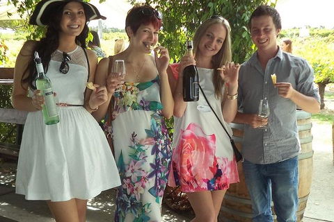 1/2 Day Swan Valley Wine Cheese & Chocolate Tour Inc Afternoon Cruise To Perth - Pubs Melbourne 4