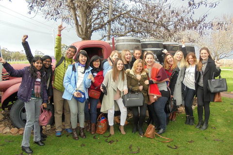 1/2 Day Swan Valley Wine Cheese & Chocolate Tour Inc Afternoon Cruise To Perth - Pubs Melbourne 5