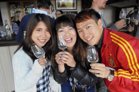 Wine Tasting Day Trip And Swan Valley River Cruise To Perth - Pubs Melbourne 3