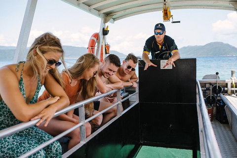 Fitzroy Island Day Trip From Cairns - Pubs Melbourne 4