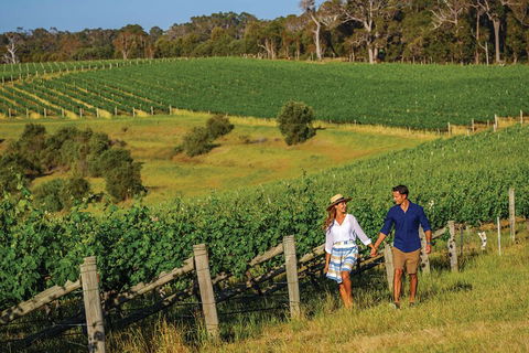 10 Day Perth To Adelaide Private Tour - The Great Australian Wilderness Journey - Pubs Melbourne 0