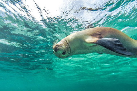 10-Day Adelaide To Perth Adventure Tour - Pubs Melbourne 1