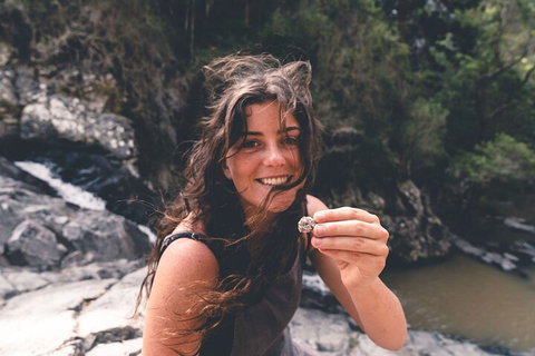 Springbrook AndTamborine Rainforest Tour Incl Natural Bridge And Glow Worm Cave - Pubs Melbourne 1