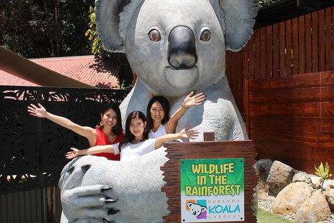 Kuranda Koala Gardens And Birdworld Admission Tickets - Pubs Melbourne 3