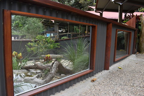 Kuranda Koala Gardens And Birdworld Admission Tickets - Pubs Melbourne 4