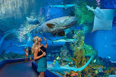 Cairns Aquarium Admission Ticket - Pubs Melbourne 3