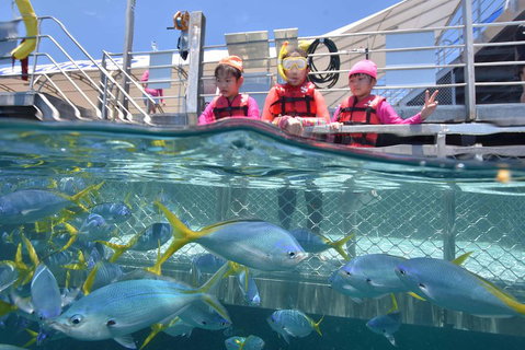 Outer Reef Pontoon Experience From Cairns - Pubs Melbourne 0