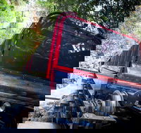 Blue Mountains Hop-on Hop-off Tour with Optional Scenic World Rides - Pubs Melbourne