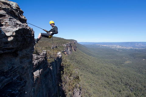 Half-Day Abseiling Adventure In Blue Mountains National Park - Pubs Melbourne 1