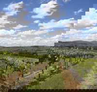 Hunter Valley Wine Tour from Sydney incl Lunch Cheese Chocolate and Distillery - Pubs Melbourne