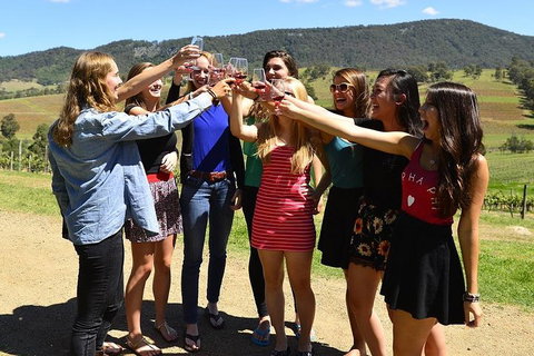 Hunter Valley Wine Tour From Sydney Incl Lunch, Cheese, Chocolate And Distillery - Pubs Melbourne 3