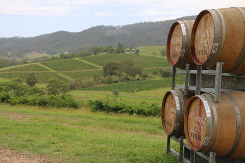 Hunter Valley Wine Tour From Sydney Incl Lunch, Cheese, Chocolate And Distillery - Pubs Melbourne 5