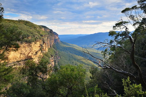 Sunset Blue Mountains Wilderness & Wildlife Tour Without The Crowds - Pubs Melbourne 2