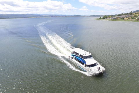 2.5 Hour Morning Discovery Cruise Including Sailing Into The Cataract Gorge - Pubs Melbourne 2