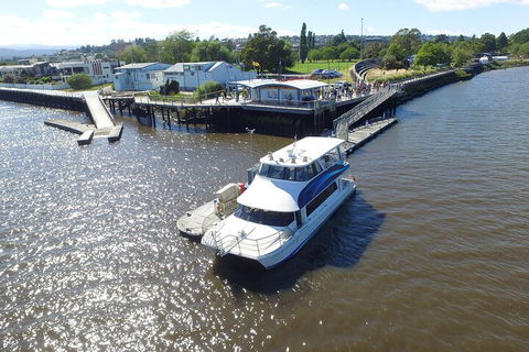 2.5 Hour Morning Discovery Cruise Including Sailing Into The Cataract Gorge - Pubs Melbourne 3