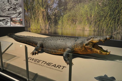 Explore Darwin City Sights Including Key Attractions - Pubs Melbourne 2