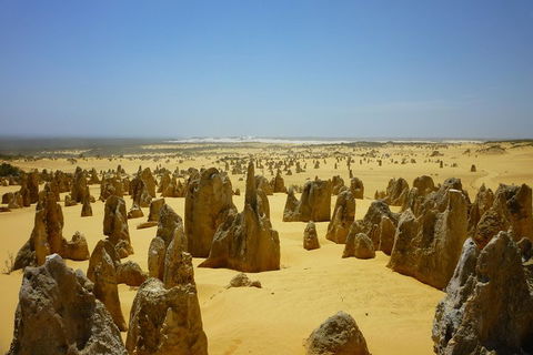 Pinnacles Desert Private Tour - Pubs Melbourne 2