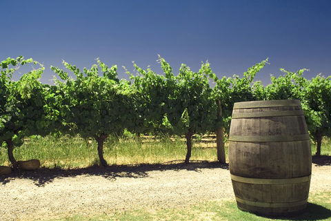 Pinnacles Desert Private Tour - Pubs Melbourne 5
