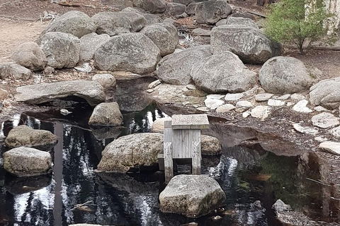 Bendigo, Echuca & The Mighty Murray - Pubs Melbourne 1