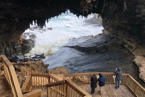 Kangaroo Island 4WD Tour - Best Of KI - Pubs Melbourne 1