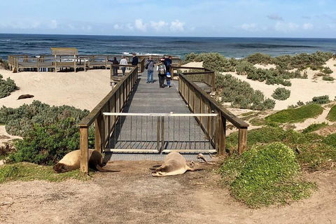 Kangaroo Island 4WD Tour - Best Of KI - Pubs Melbourne 2