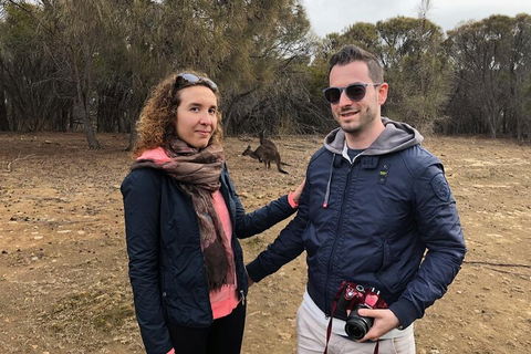 Kangaroo Island 4WD Tour - Best Of KI - Pubs Melbourne 3