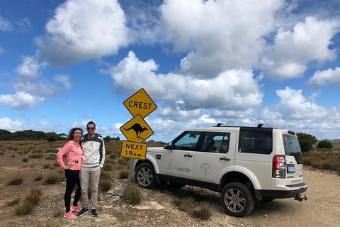 Kangaroo Island 4WD Tour - Best Of KI - Pubs Melbourne 5